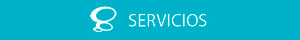 bt-servicios1